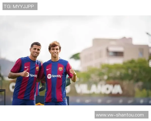 坎塞洛在足球场上的辉煌历程与未来发展潜力分析